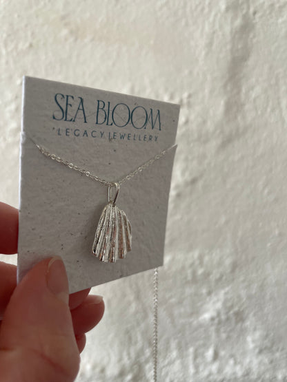 Scallop Shell Segment Necklace