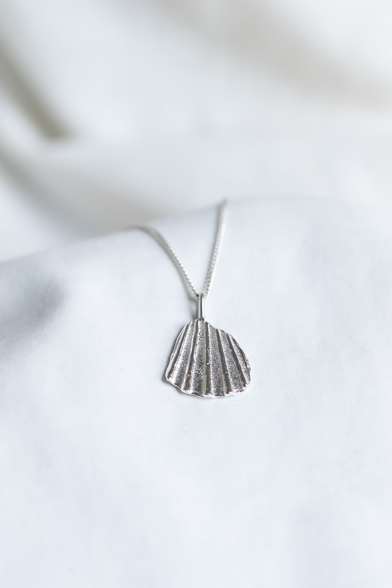 Scallop Shell Segment Necklace