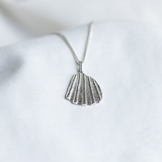 Scallop Shell Segment Necklace