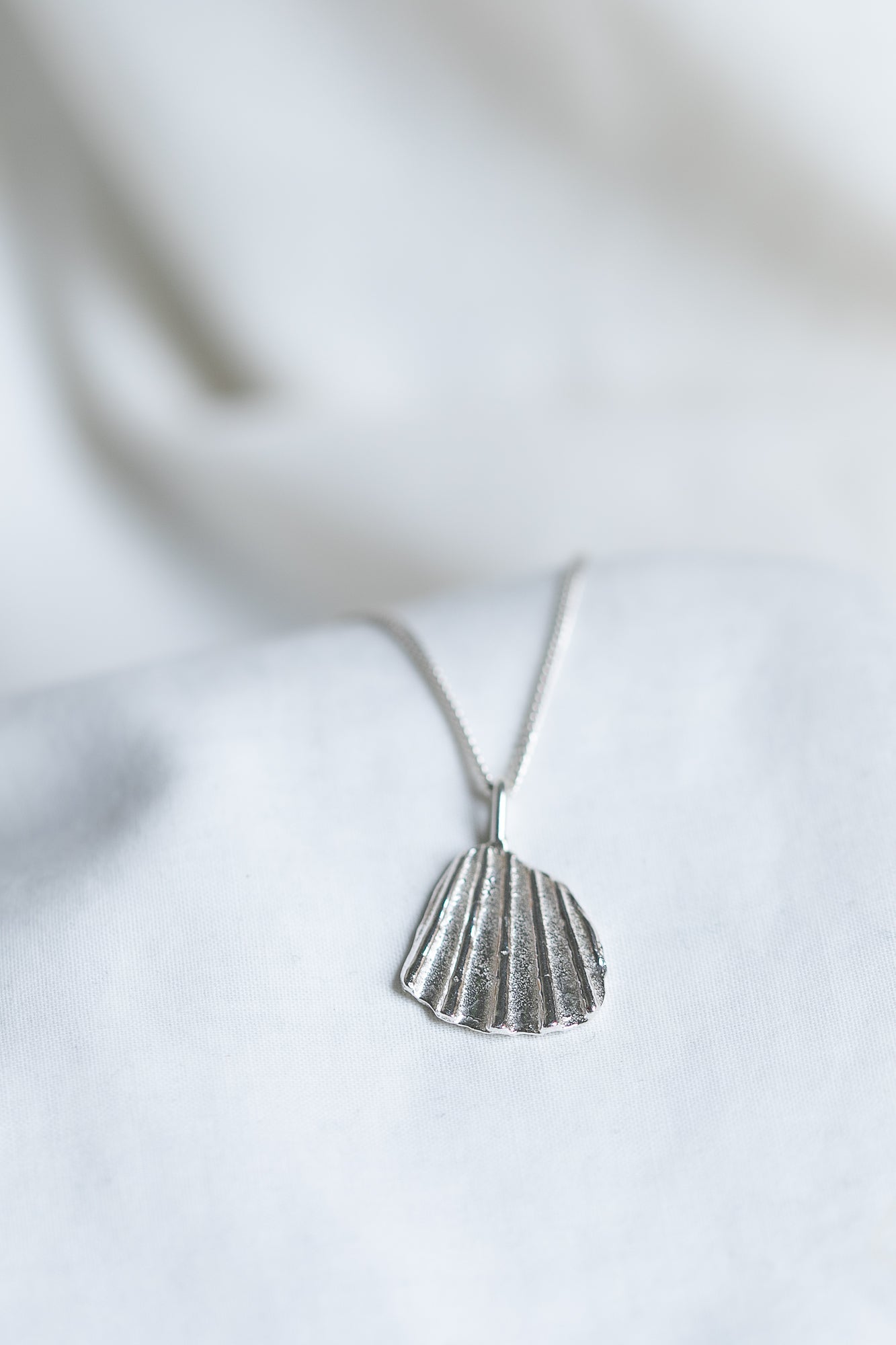 Scallop Shell Segment Necklace