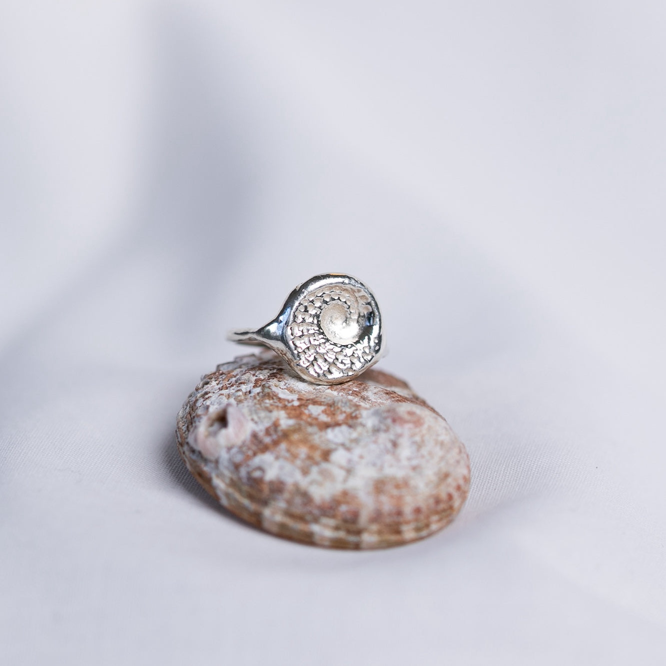 Silver ring with a natural abalone spiral design sits upon an Australian abalone shell