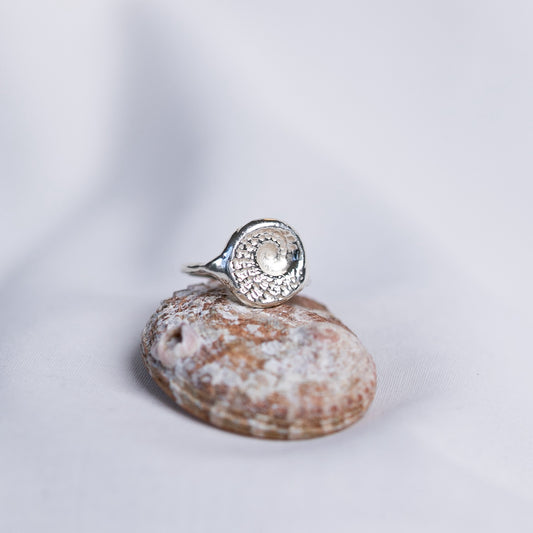 Silver ring with a natural abalone spiral design sits upon an Australian abalone shell