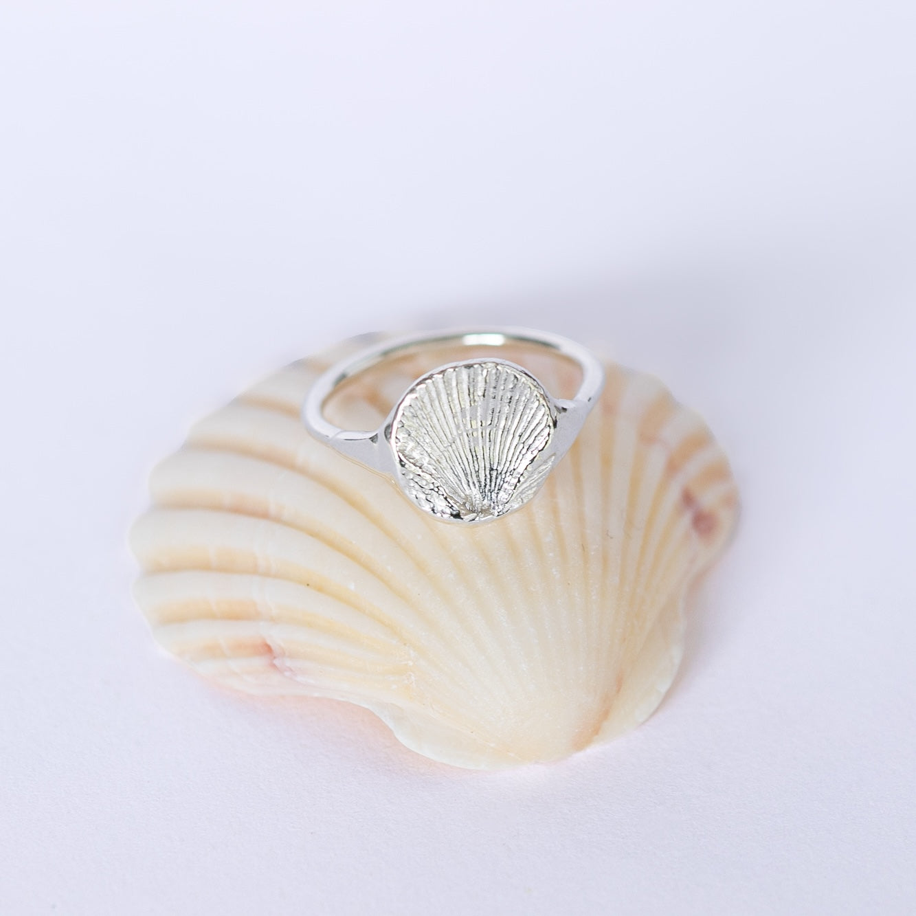 Scallop Signet Ring