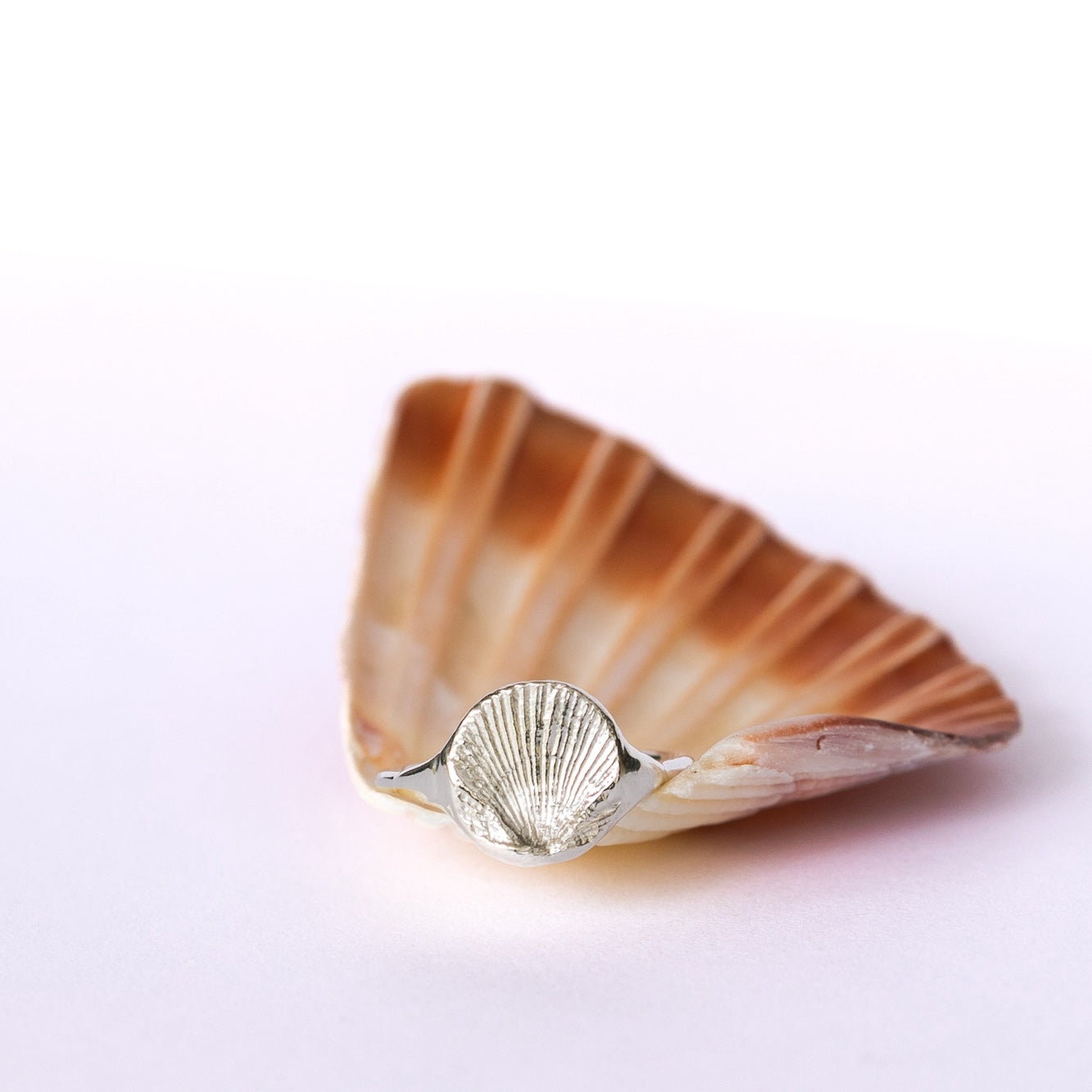 Scallop Signet Ring