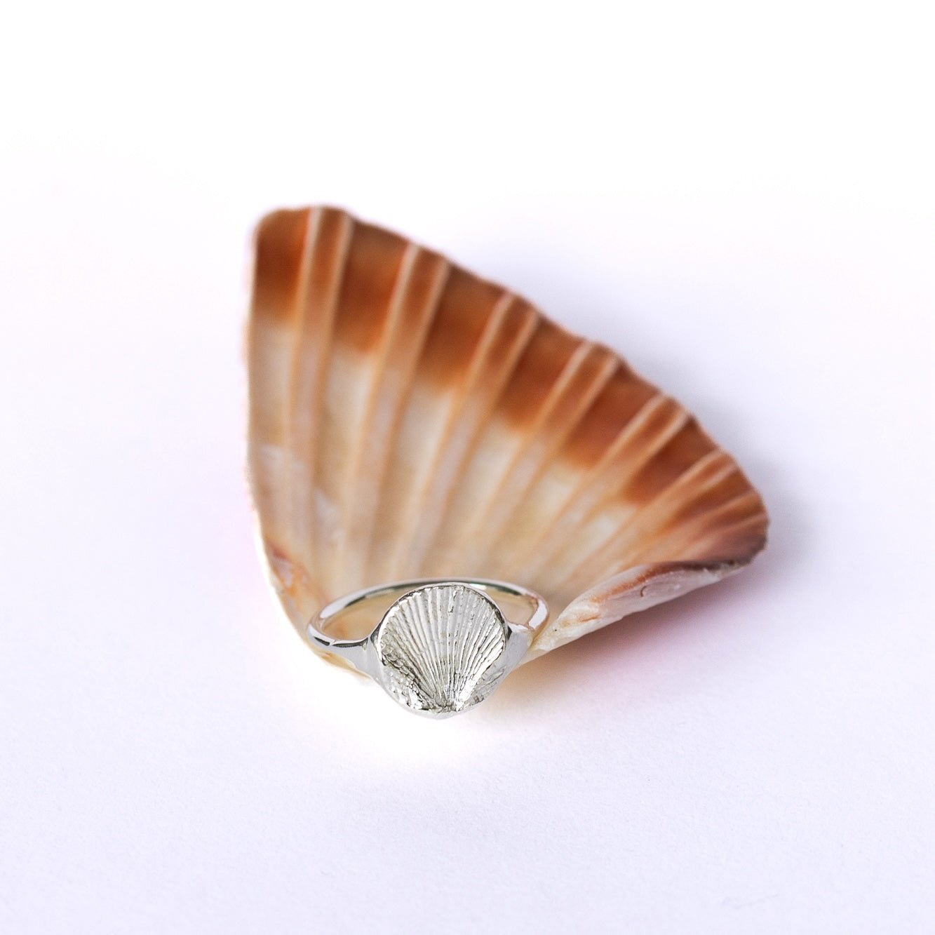Scallop Signet Ring