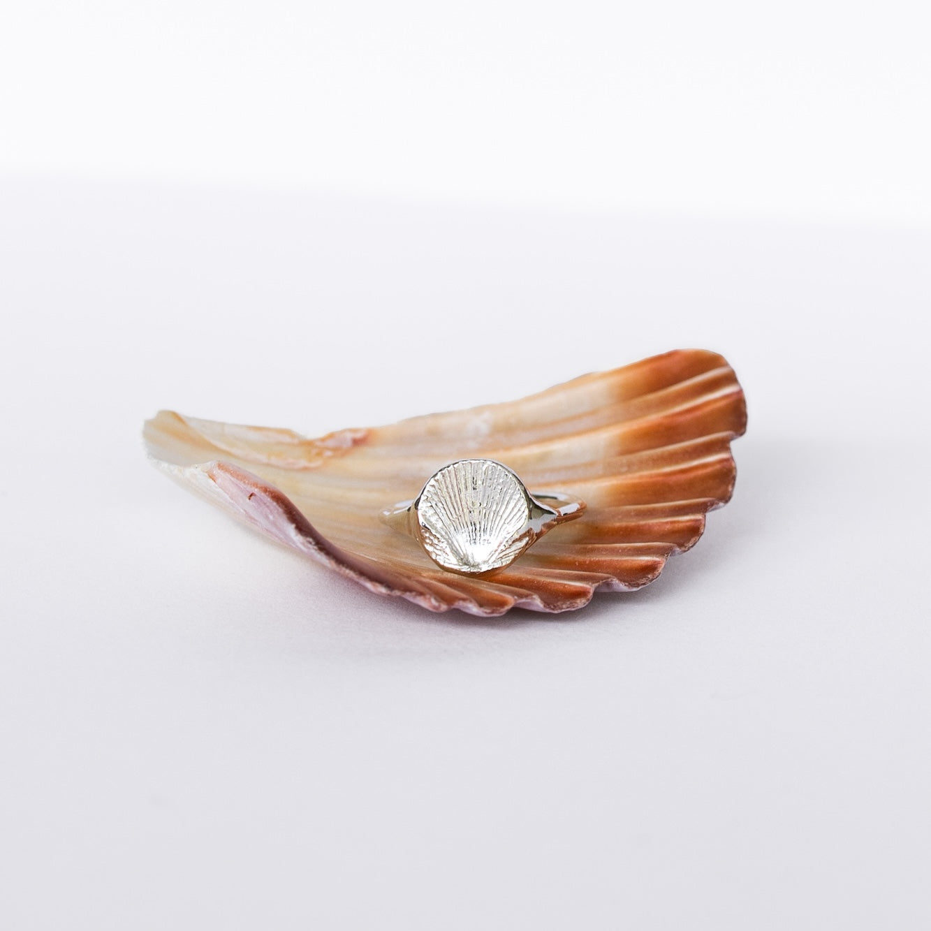 Scallop Signet Ring